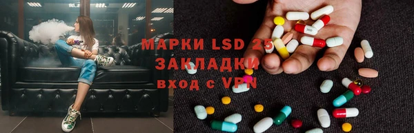 крисы Богородицк