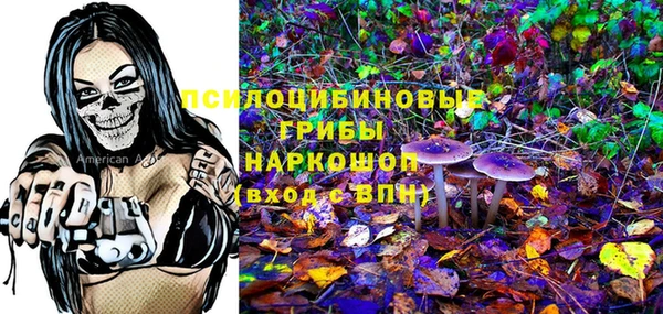 шишки Бородино