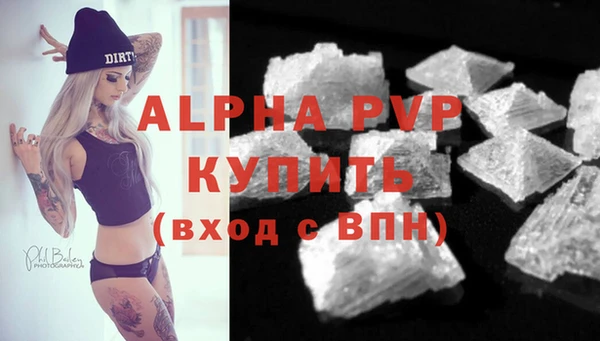 крисы Богородицк