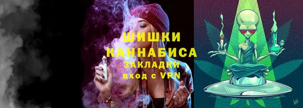крисы Богородицк