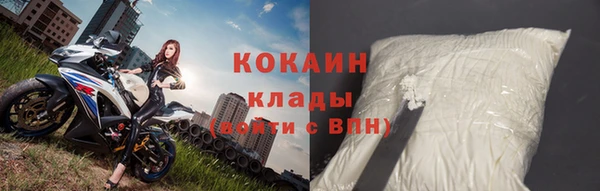 крисы Богородицк