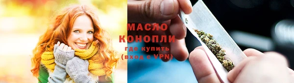 крисы Богородицк