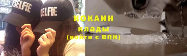 крисы Богородицк