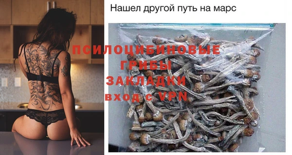 крисы Богородицк