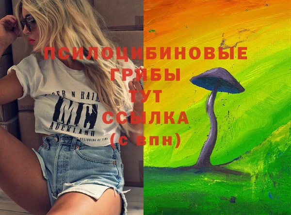 МДМА Богданович