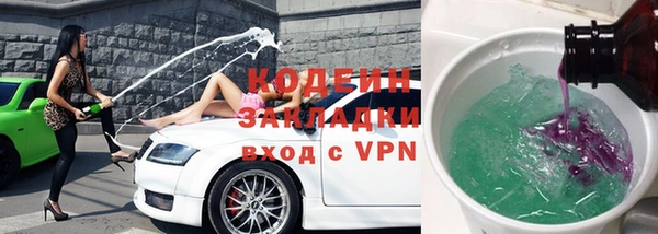 крисы Богородицк